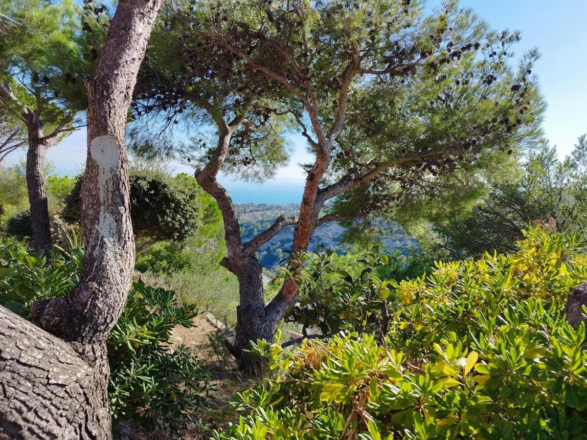 Sweet Calanque - Host Provence Apartment Cassis Exterior photo